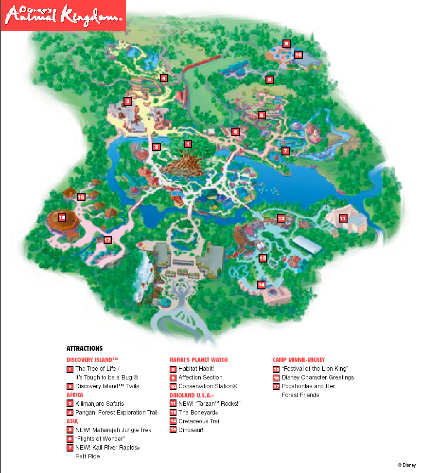 walt disney world animal kingdom map